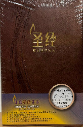 S49SS11J2 环球圣经译本 – 经文版(简体棕色俪皮)