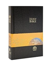 S13SS01H - 新译本/ESV 中英对照圣经 标准装 神字版 黑色精装白边 简体