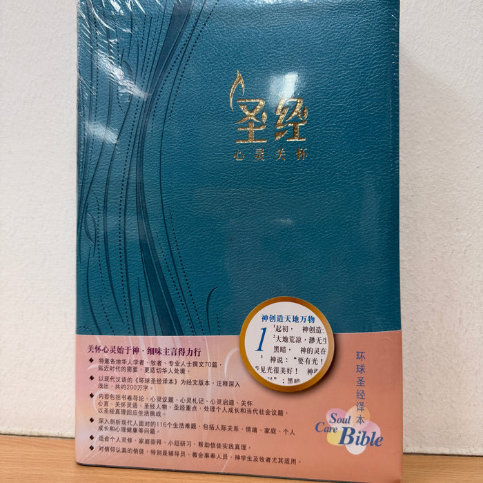 L52SS03J2 环译本心灵关怀圣经