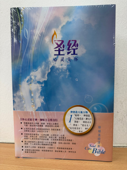 L52SS99P 环译本 心灵关怀圣经  平装